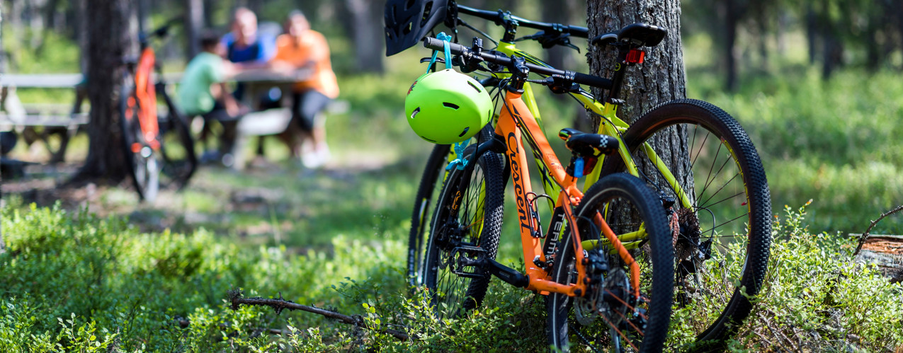 MTB cyklar stående vid träd där familj fikar, i Orsa Grönklitt!