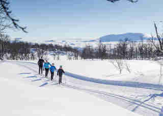 Familj som åker längdskidor i Tänndalen