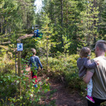 Pappa och barn på Bärras äventyrsstig - glädjefylld vandring i Orsa Grönklitt.