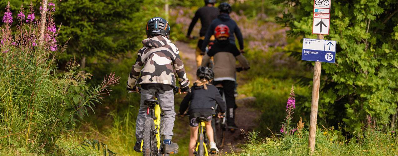 Dad and his children cycling on a well-marked bike trail through the forest