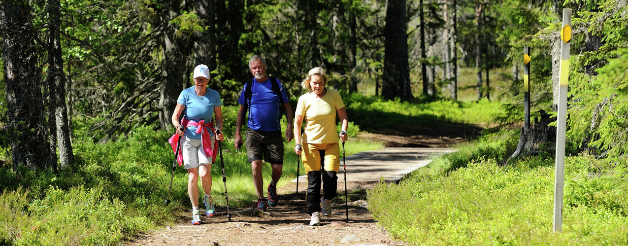 Tre seniorer som vandrar med gåstavar på grusväg i Orsa grönklitt.