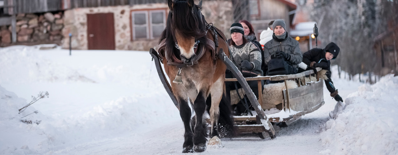 En häst drar en släde i snön med gäster i Orsa Grönklitt
