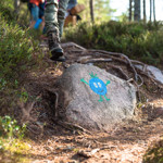 Vandring i skogen med Blåbäret Bärra tema - följ med på äventyr i Orsa Grönklitt.