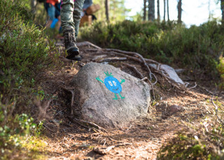 Vandring i skogen med Blåbäret Bärra tema - följ med på äventyr i Orsa Grönklitt.