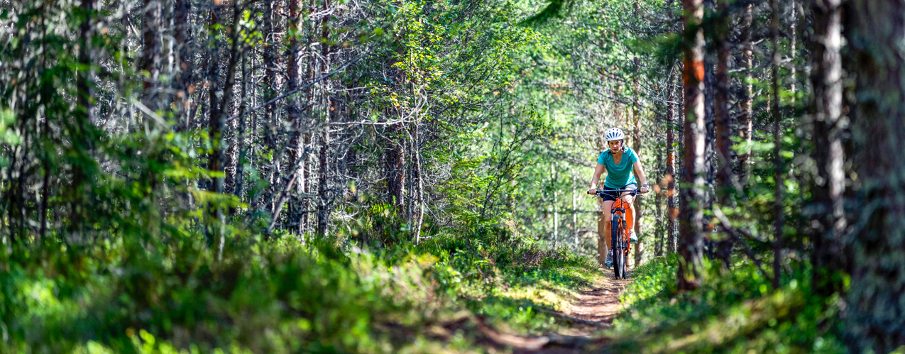 Kvinna som cyklar MTB på led i Orsa Grönklitt