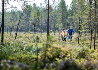 Familj vandrar i skogen på Orsa Grönklitt - njuter av naturens skönhet tillsammans.