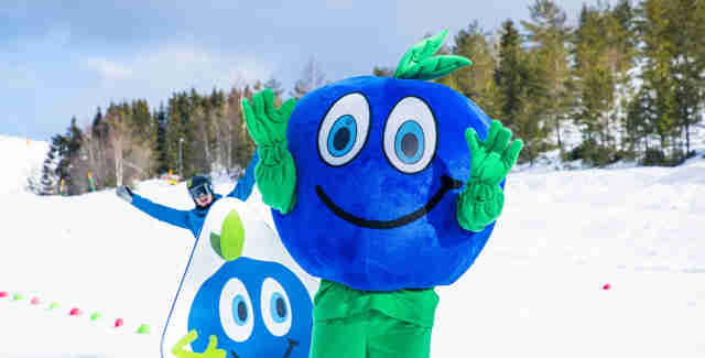 Blåbäret Bärra står mitt i slalombacken i Orsa Grönklitt
