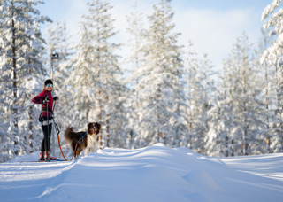 Kvinlig längdåkare med hund i Hundspåret i Orsa Grönklitt