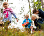Familj som plockar bära i skogen i Orsa Grönklitt